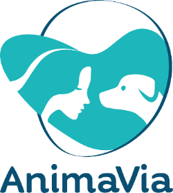 Login AnimaVia Logo